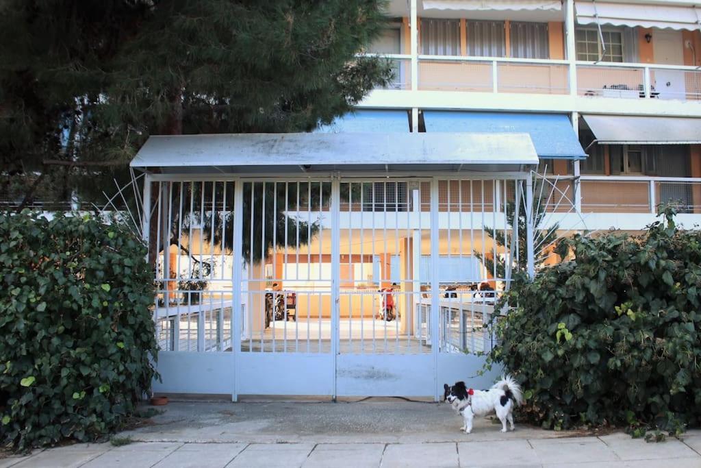 Agnes Apartment Filopappou أثينا المظهر الخارجي الصورة